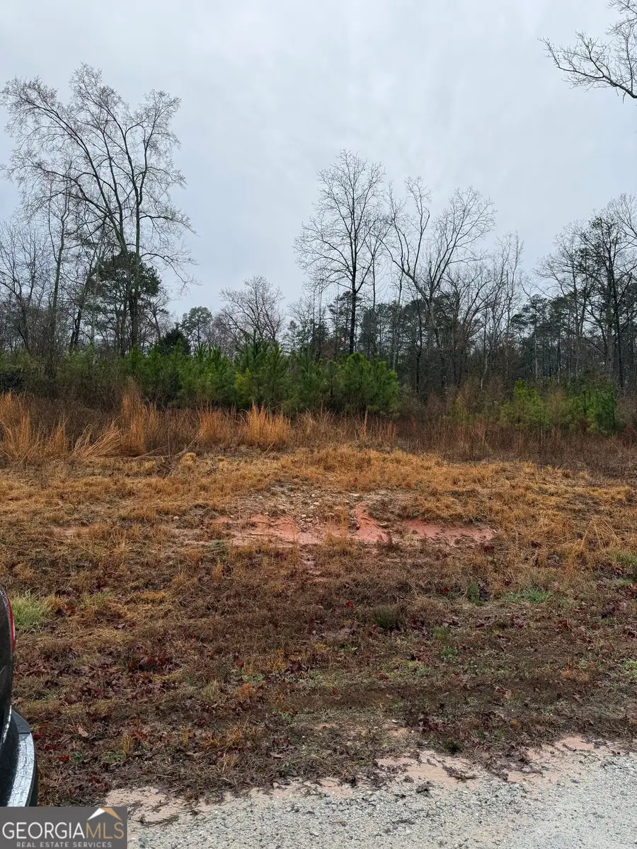 874 Forrester Cemetery Road, Covington, GA 30014 - #3