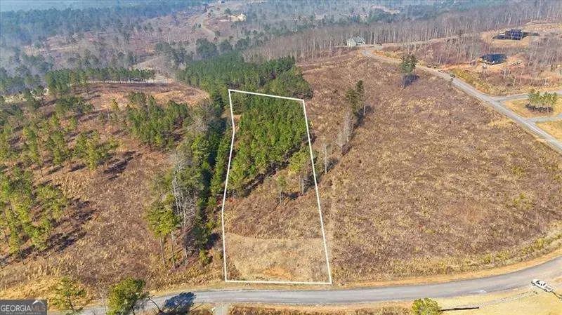 0 Highgrove Drive, Talking Rock, GA 30175 - #2