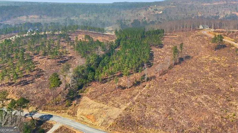 0 Highgrove Drive, Talking Rock, GA 30175 - #3