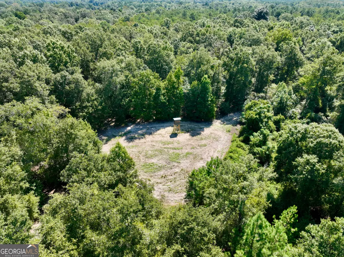 0 Abbeville Highway, Finleyson, GA 31001 - #1