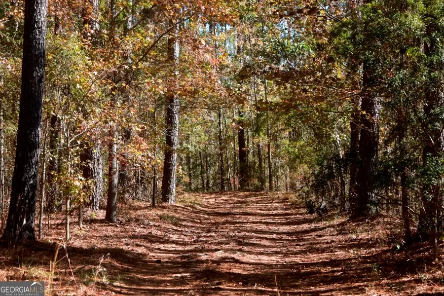 0 Anderson Road #TRACT 1, Statesboro, GA 30458 - #3
