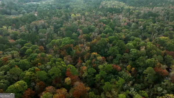 0 Twin Forks Rd/martin Road #TRACT 2, Statesboro, GA 30458