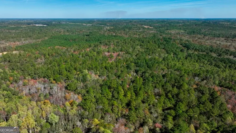 0 Twin Forks Rd/martin Road #TRACT 2, Statesboro, GA 30458 - #3