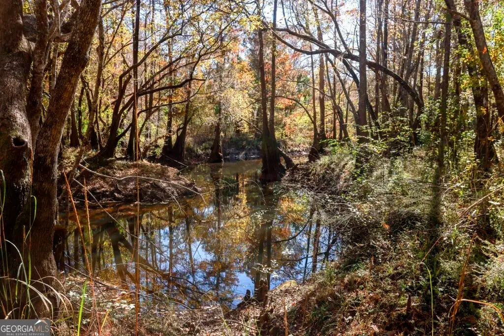 0 Twin Forks Rd/martin Road #TRACT 3, Statesboro, GA 30458 - #1