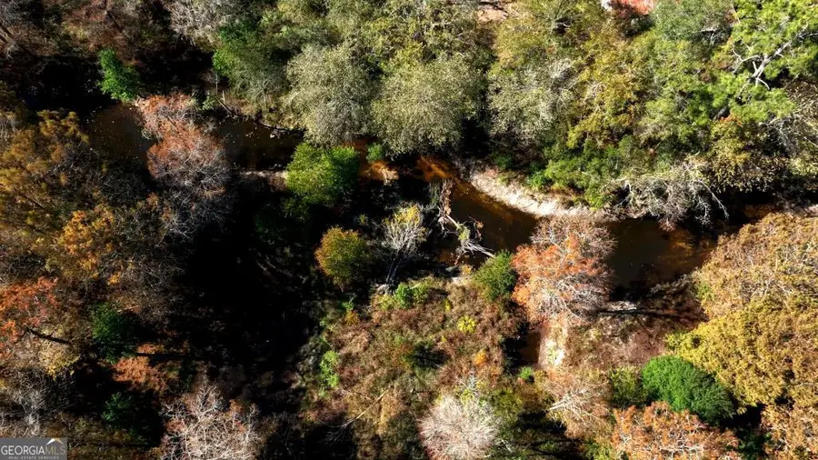 0 Twin Forks Rd/martin Road #TRACT 3, Statesboro, GA 30458 - #2