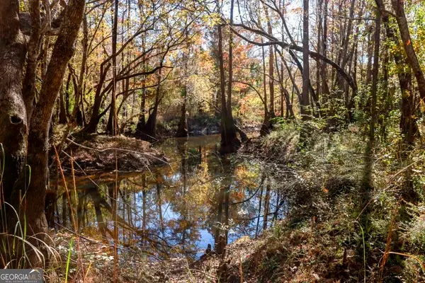 0 Twin Forks Rd/martin Road #TRACT 4, Statesboro, GA 30458