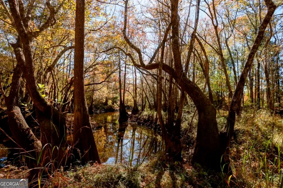 0 Twin Forks Rd/martin Road #TRACT 5, Statesboro, GA 30458 - #2