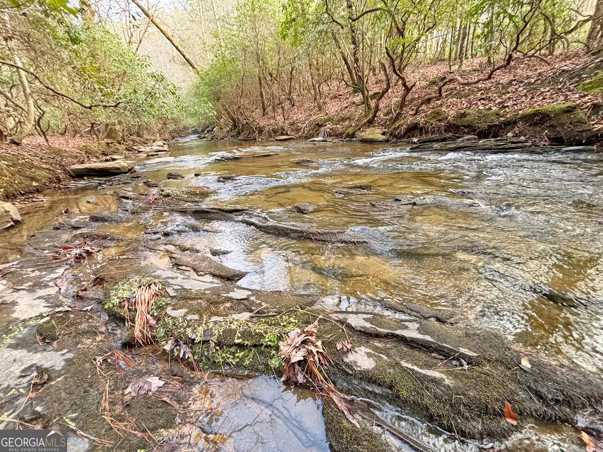 5AC Lovejoy Lane, Talking Rock, GA 30175 - #1