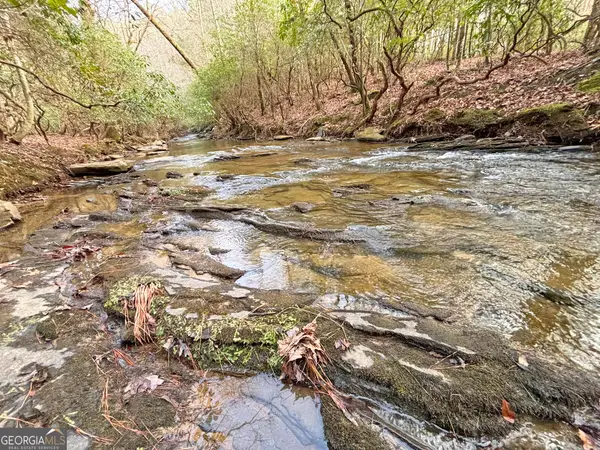 5AC Lovejoy Lane, Talking Rock, GA 30175