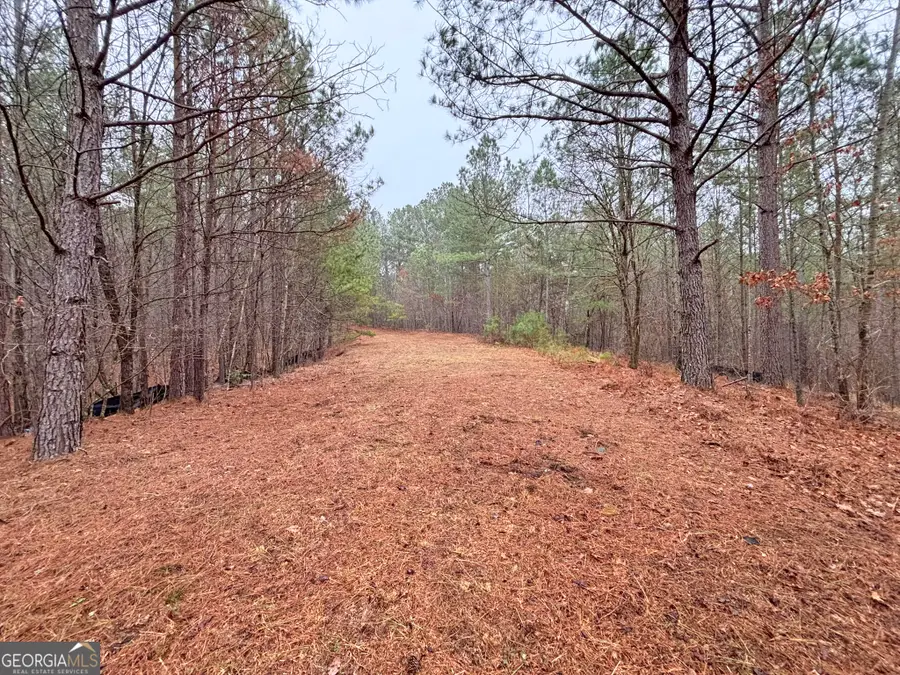 5AC Lovejoy Lane, Talking Rock, GA 30175 - #2