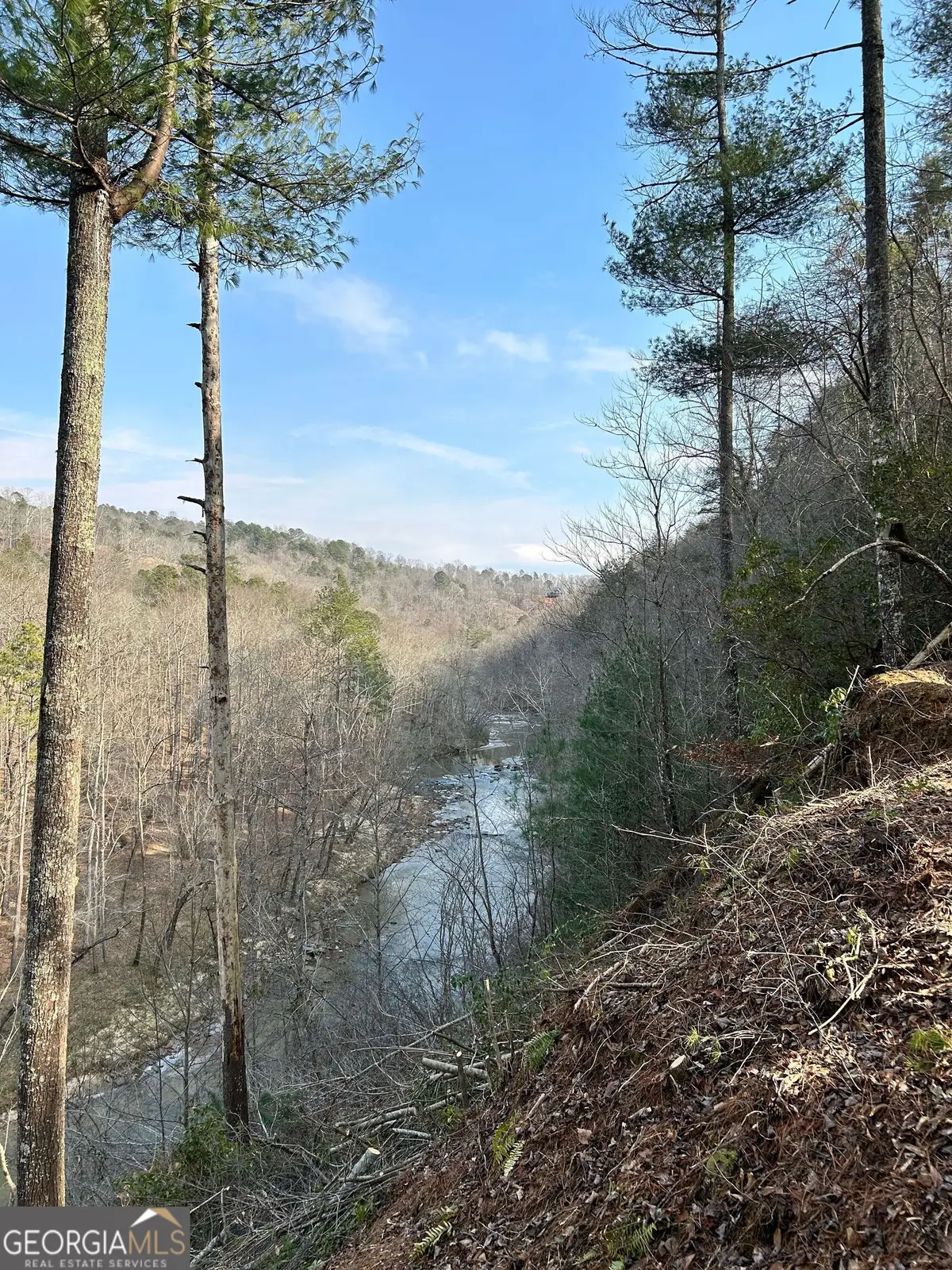 436 Meadow Lane, Talking Rock, GA 30175 - #1