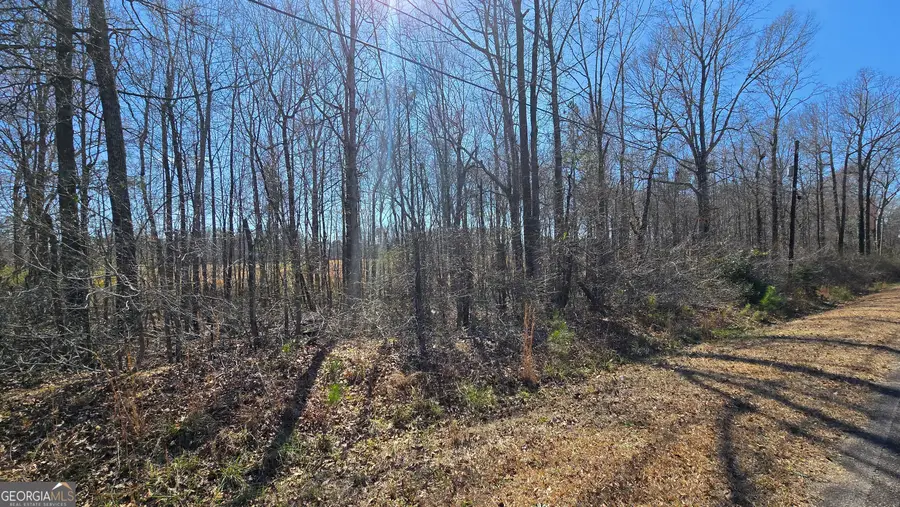 1108 Spring Creek Circle, Griffin, GA 30223 - #2