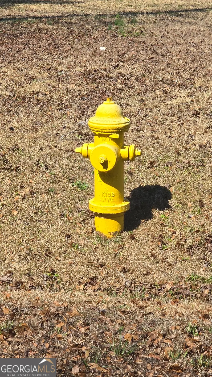 1108 Spring Creek Circle, Griffin, GA 30223 - #3