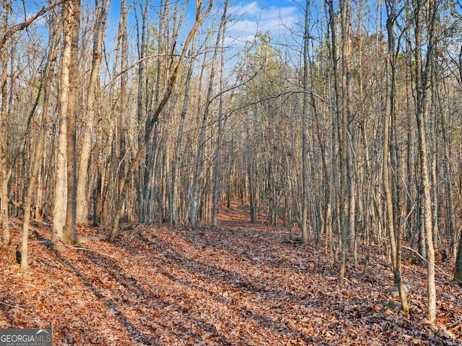 0 Logtown Road, Thomaston, GA 30286 - #2