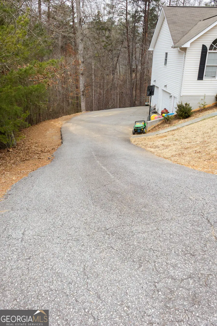 272 Cedar Springs Lane, Dahlonega, GA 30533 - #3