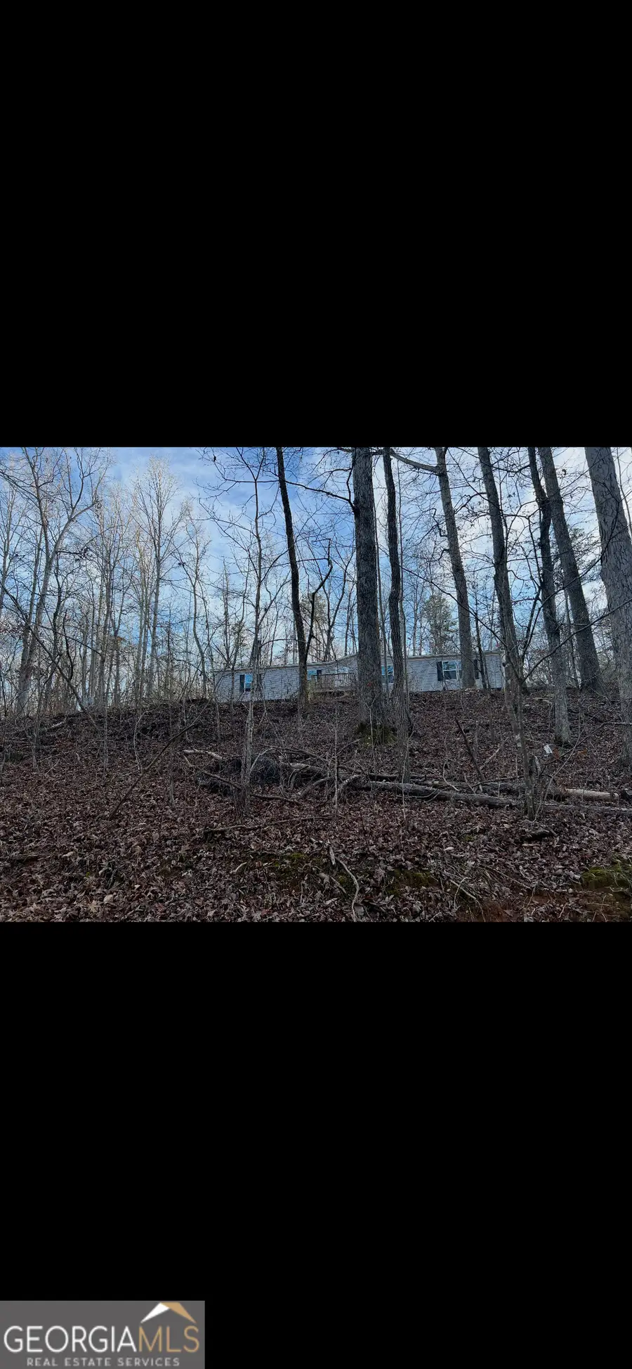 567 Suttles Road, Martin, GA 30557 - #3