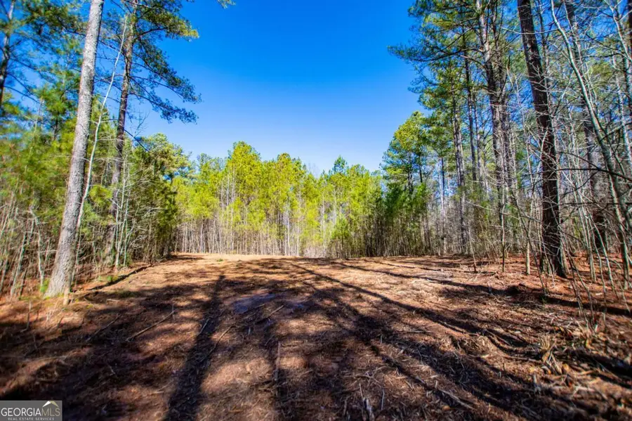 0 Hwy 166 E, Bowdon, GA 30108 - #2