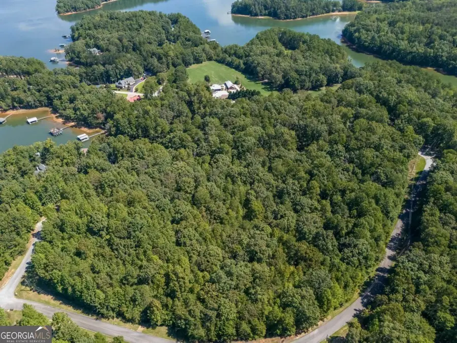 LOTS 1 & 2 Twin Knolls Trail, Martin, GA 30557 - #3