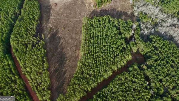 0 Harmony Ln Lot 10, Milan, GA 31060