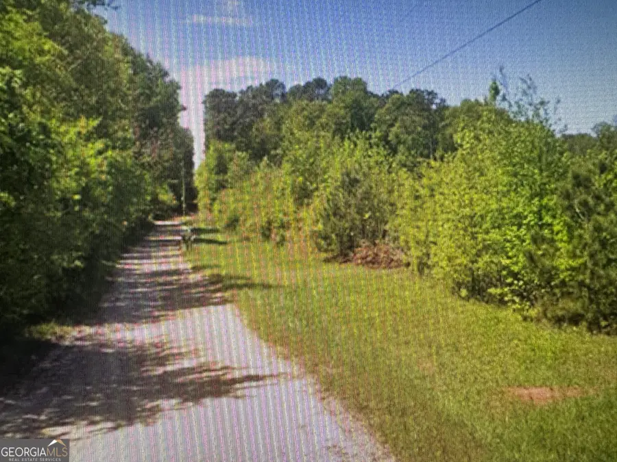 250 Perdue Road, Yatesville, GA 31097 - #3