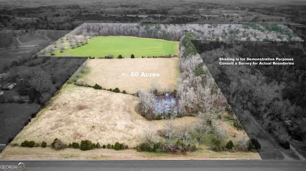 60.97+/- ACRES Us Hwy 19 S, Meansville, GA 30256