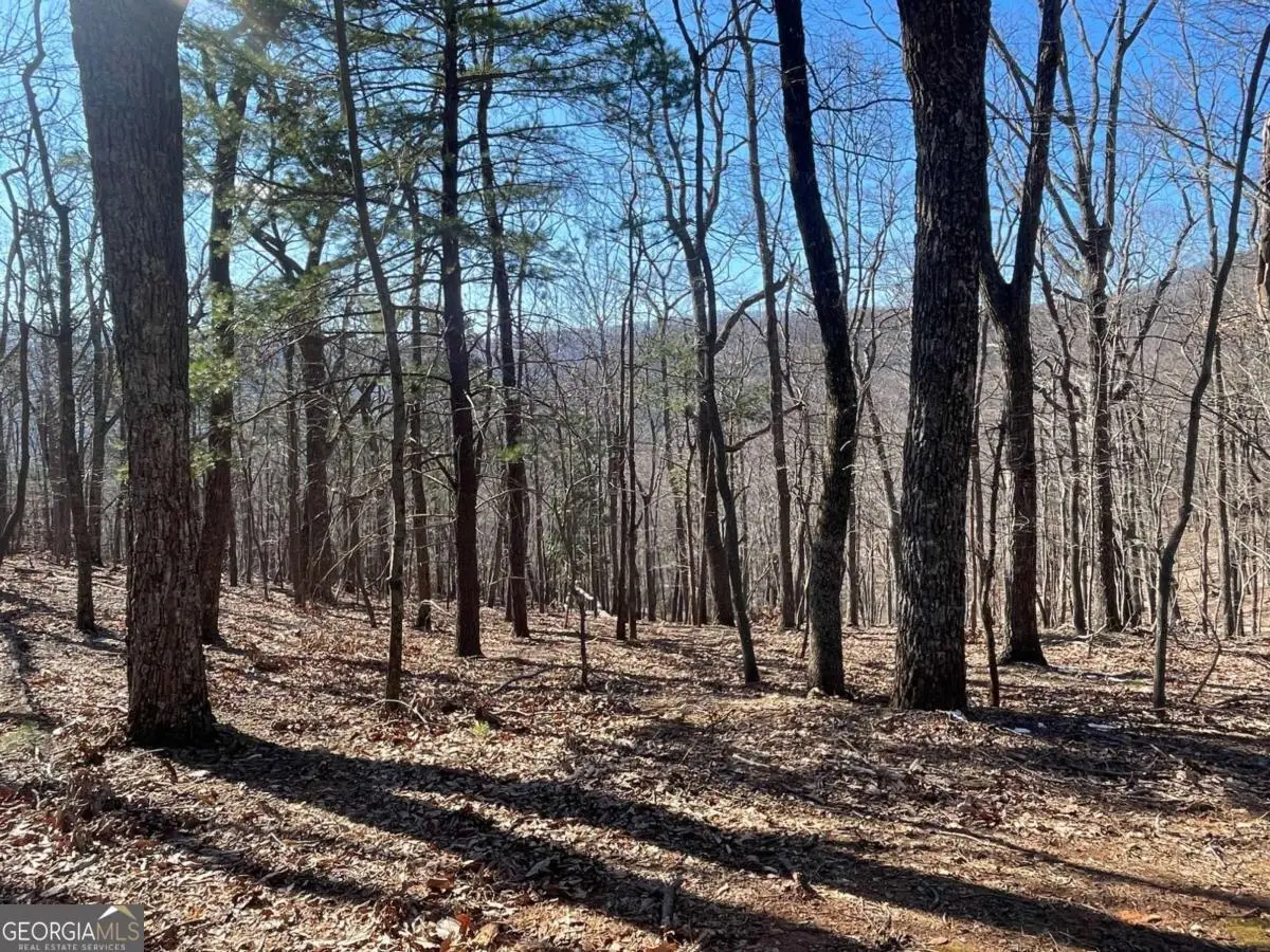 47 Bell Flower Drive, Jasper, GA 30143 - #1