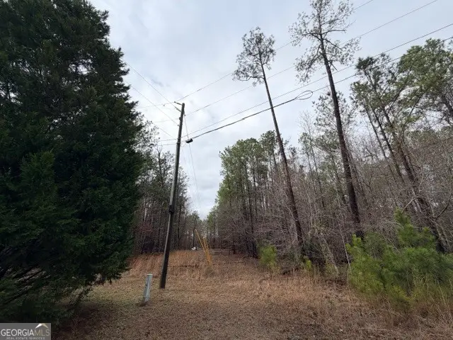 470/510 Ivey Farms Rd, McIntyre, GA 31054 - #2