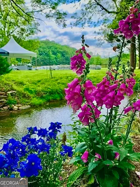 1156 Old Talking Rock Highway, Talking Rock, GA 30175 - #2