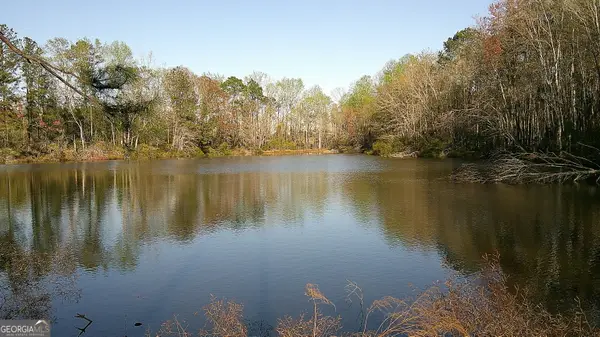 35 Barwick Kea Road, Adrian, GA 31002