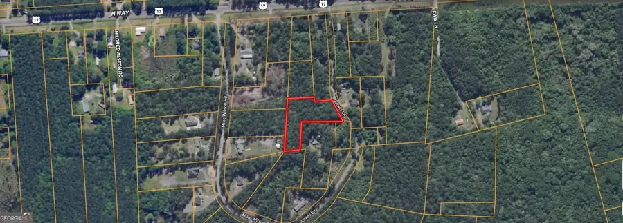 0 Lewis Lane #1, Townsend, GA 31331 - #3