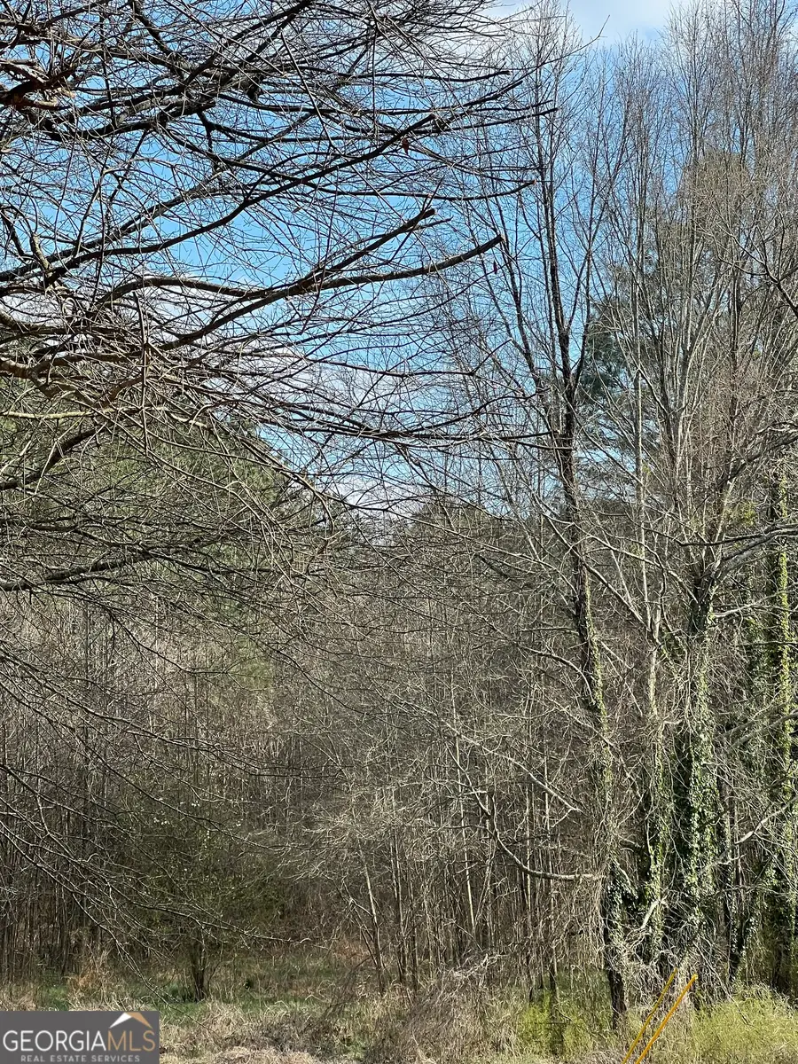 98 Pine Shadows Drive, Dallas, GA 30157 - #3