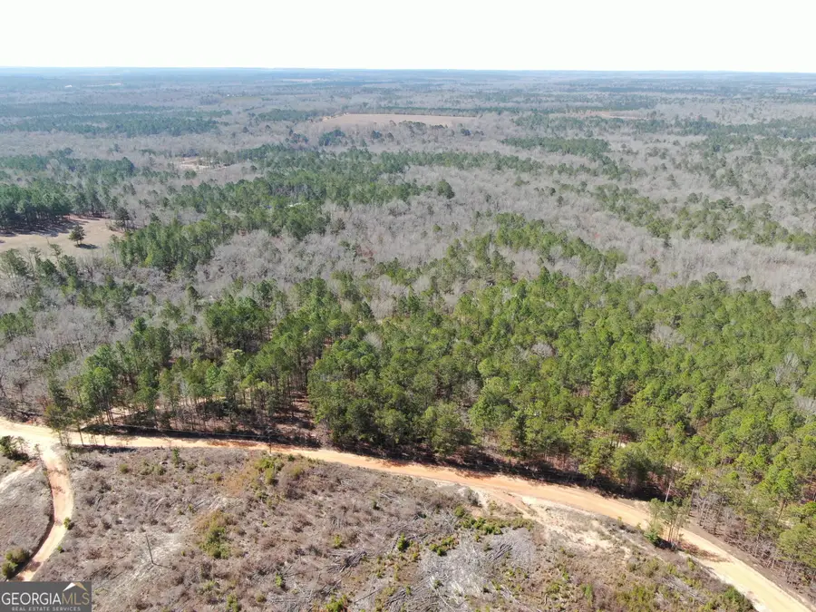 0 Suddeth Road, Butler, GA 31006 - #2