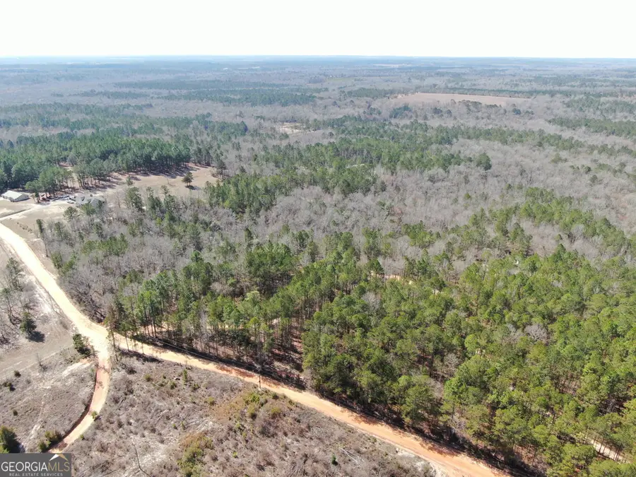 0 Suddeth Road, Butler, GA 31006 - #3