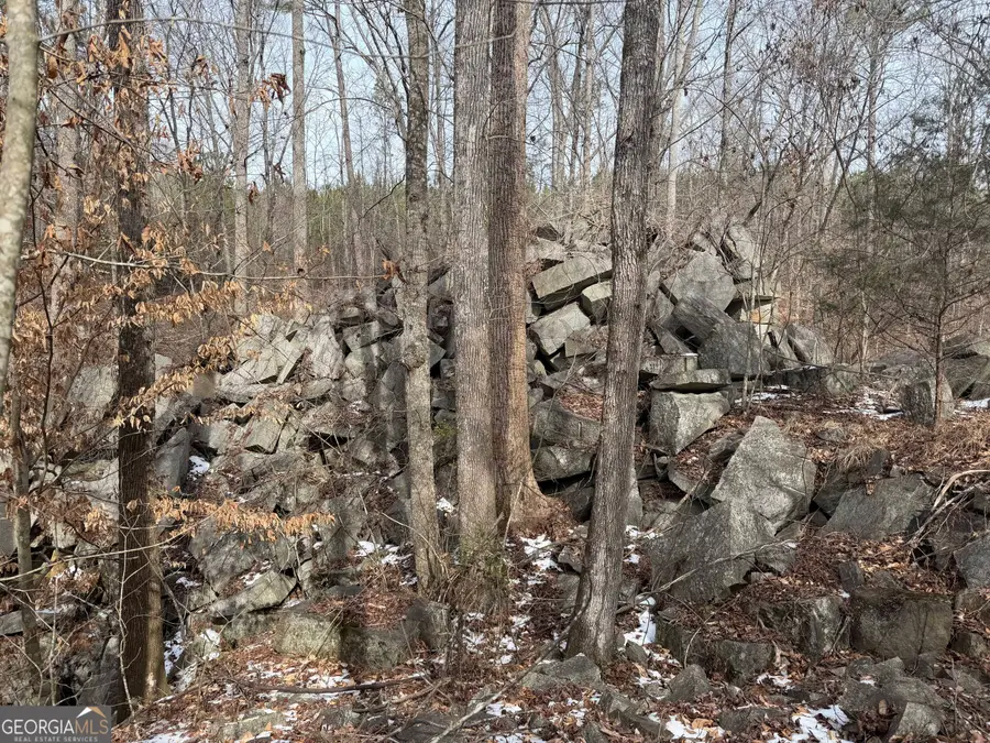 1142 Whiteside Drive, Elberton, GA 30635 - #3