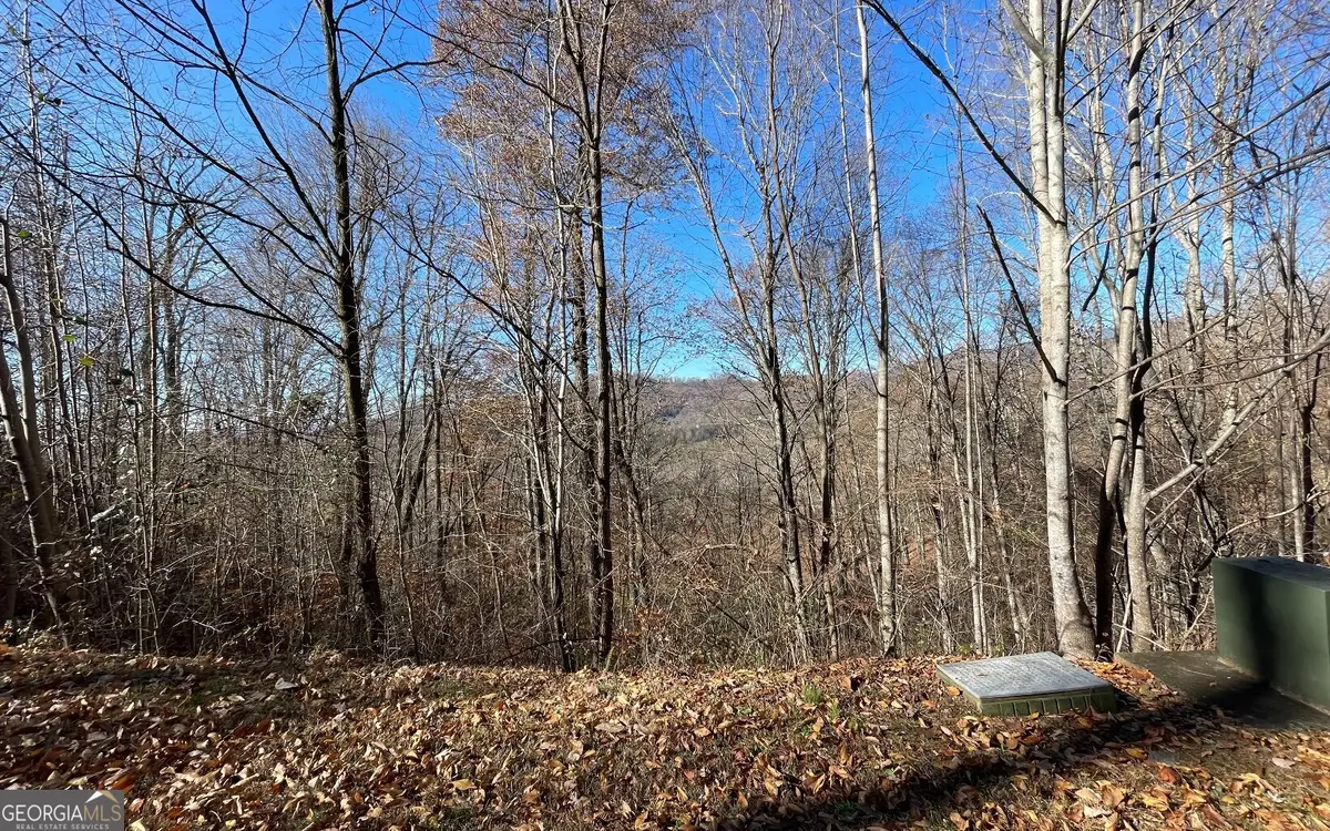 LOT 36M Mountain Harbour, Hayesville, NC 28904 - #1