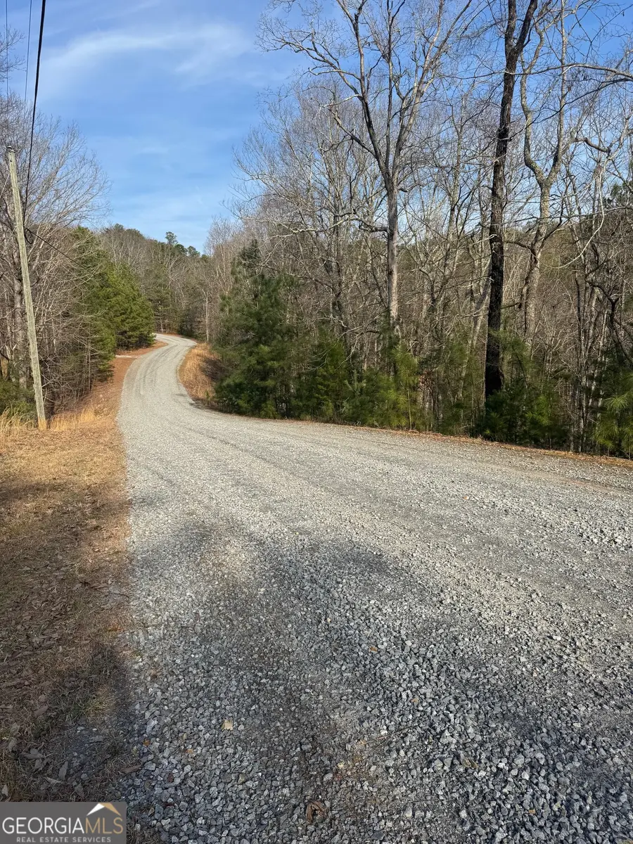 208 Lake Forest Drive, Ellijay, GA 30540 - #3