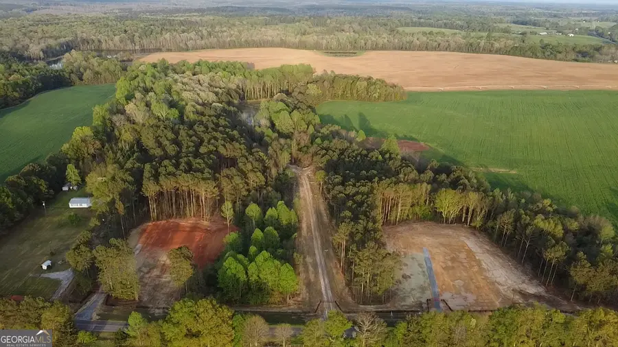 TRACT 9 Ramah Church Road #9, Barnesville, GA 30204 - #2