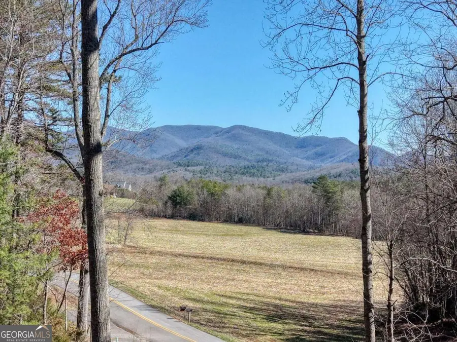 1541 Liberty Church Road, Blairsville, GA 30512 - #2