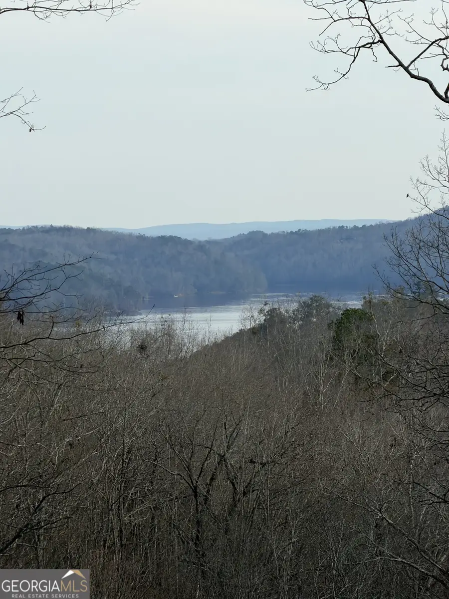 439 Buck Creek Road, Ellijay, GA 30540 - #2