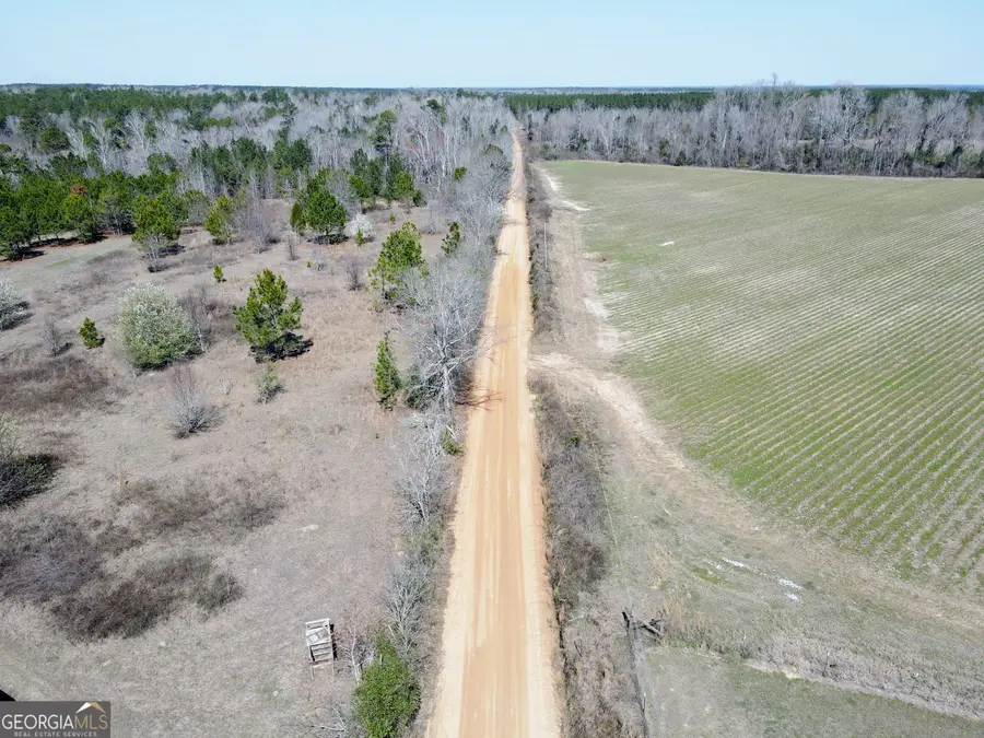 0 Bill Glenn Road, Swainsboro, GA 30401 - #2