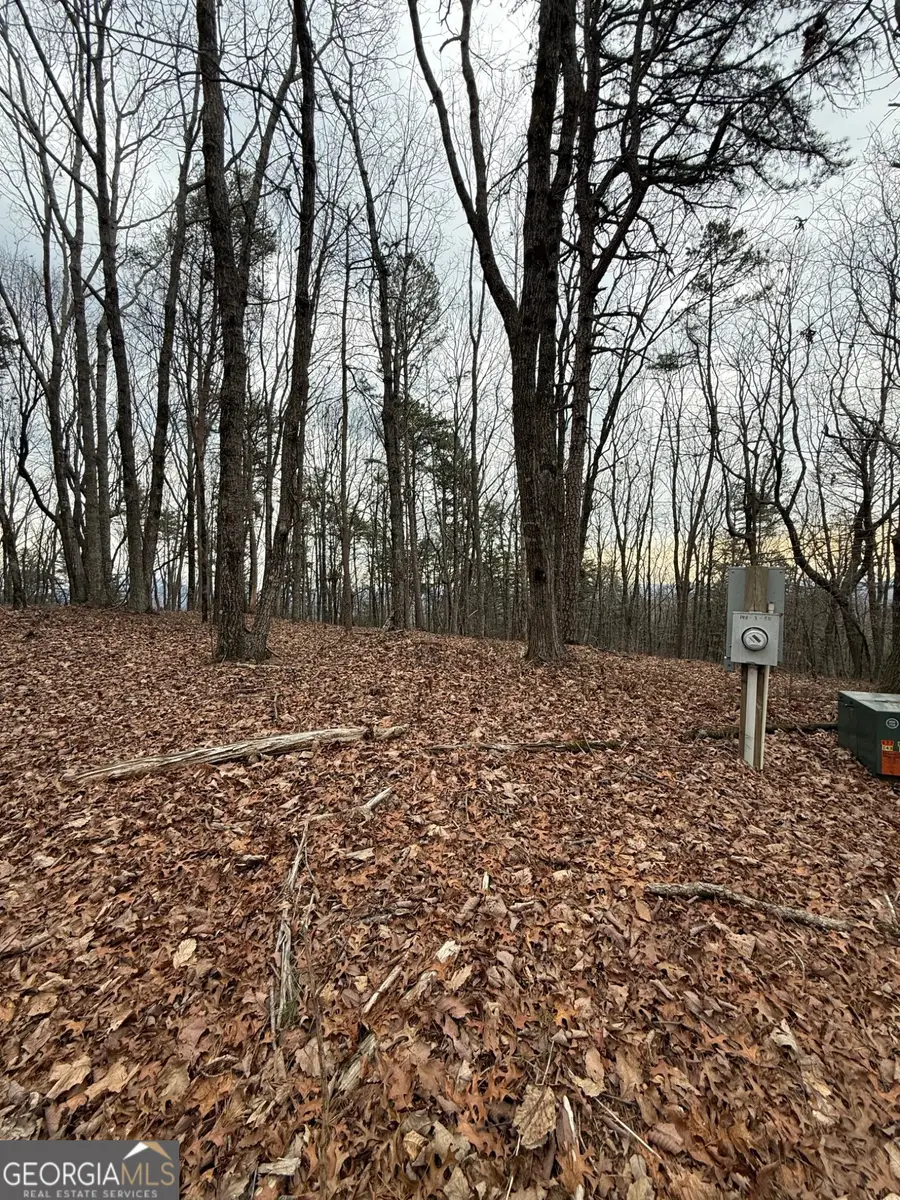 LOT 6 Westmoreland Road, Cleveland, GA 30528 - #2