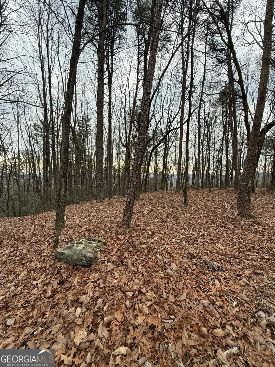 LOT 6 Westmoreland Road, Cleveland, GA 30528 - #3