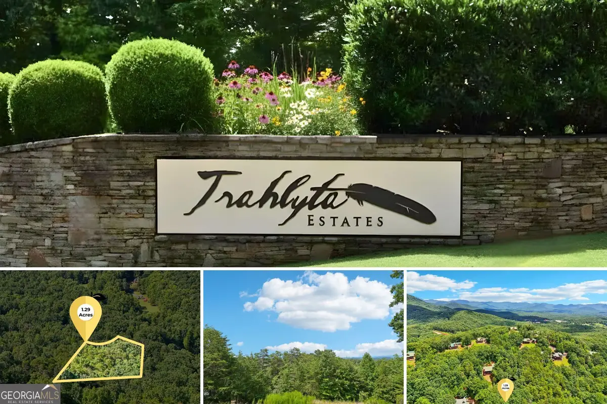 0 Ranch Mountain Court, Dahlonega, GA 30533 - #1