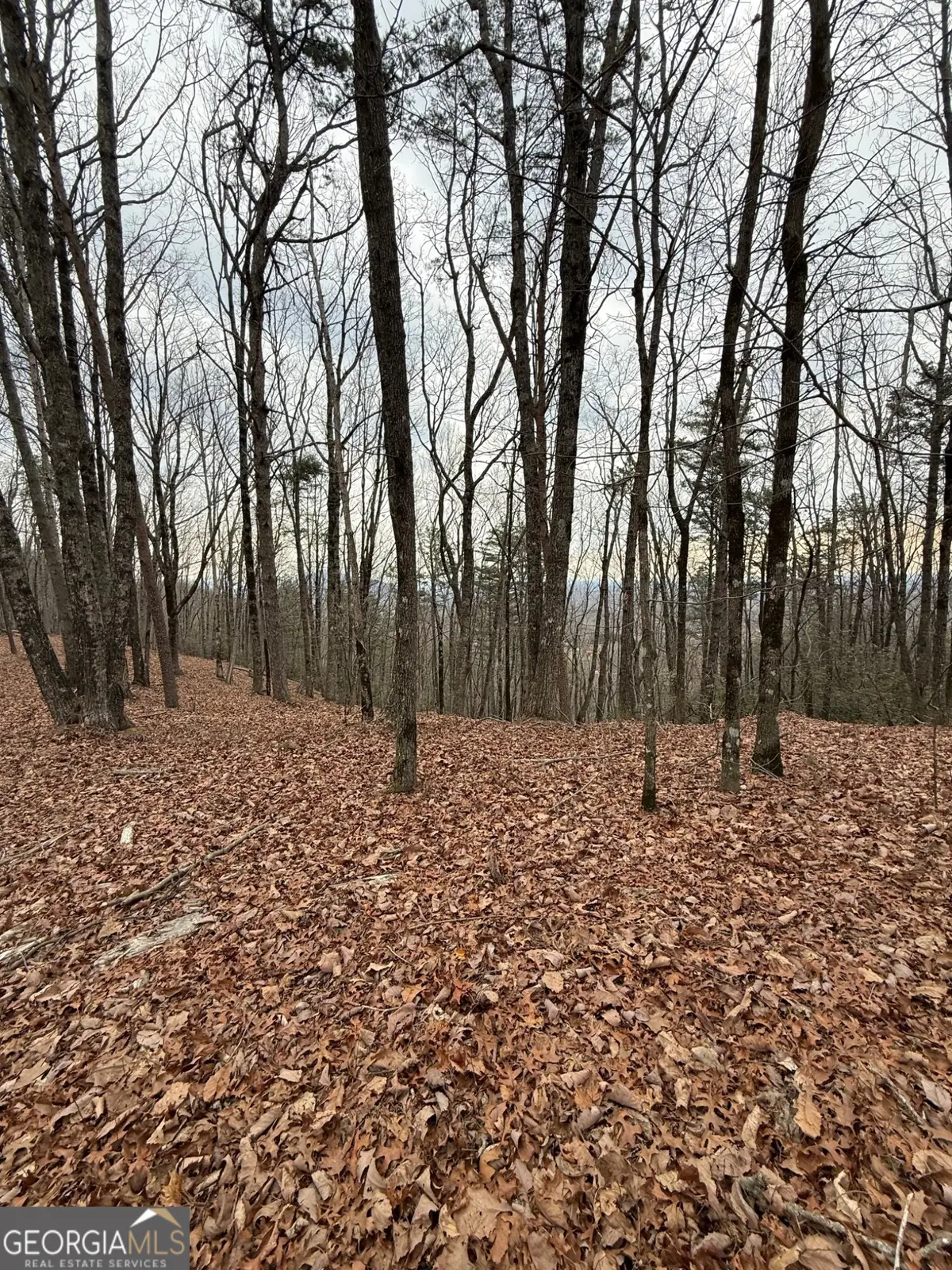 LOT 7 Westmoreland Road, Cleveland, GA 30528 - #1