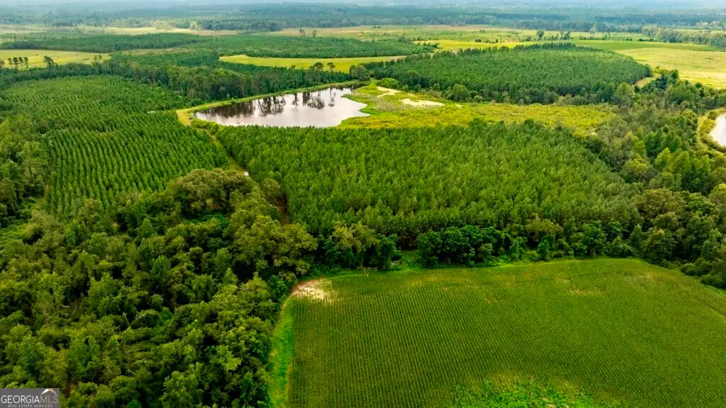 0 Canoochee Road, Cobbtown, GA 30420 - #1