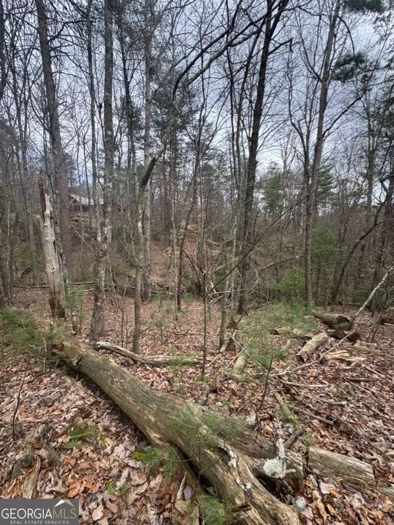 LOT 16R Leatherwood Mountain Road, Cherry Log, GA 30522 - #3