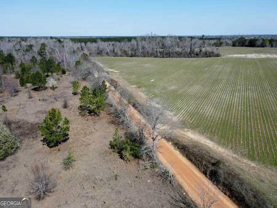 0 Bill Glenn Road, Swainsboro, GA 30401 - #2