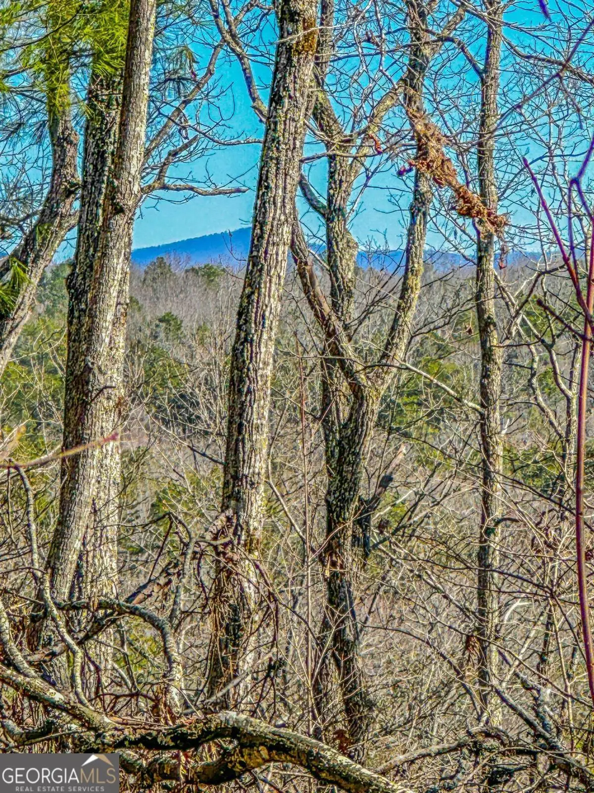 0 River Highlands Road, Dahlonega, GA 30533 - #1