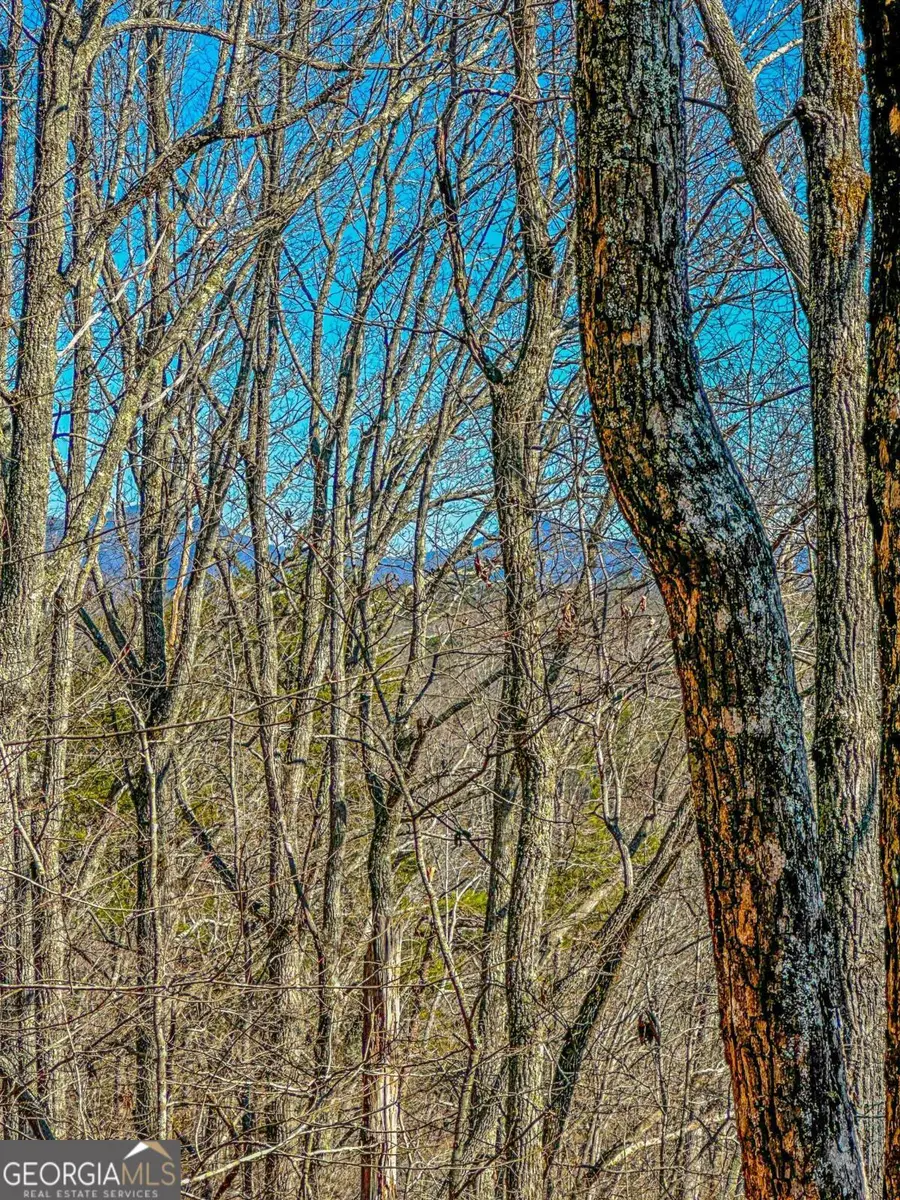 0 River Highlands Road, Dahlonega, GA 30533 - #3