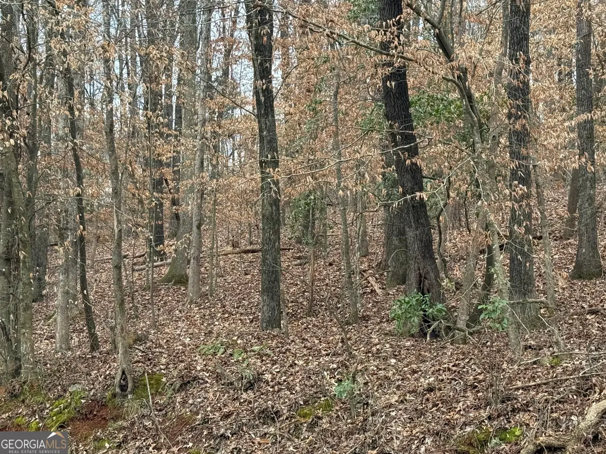 4600 E Reed Road, Gainesville, GA 30507 - #1